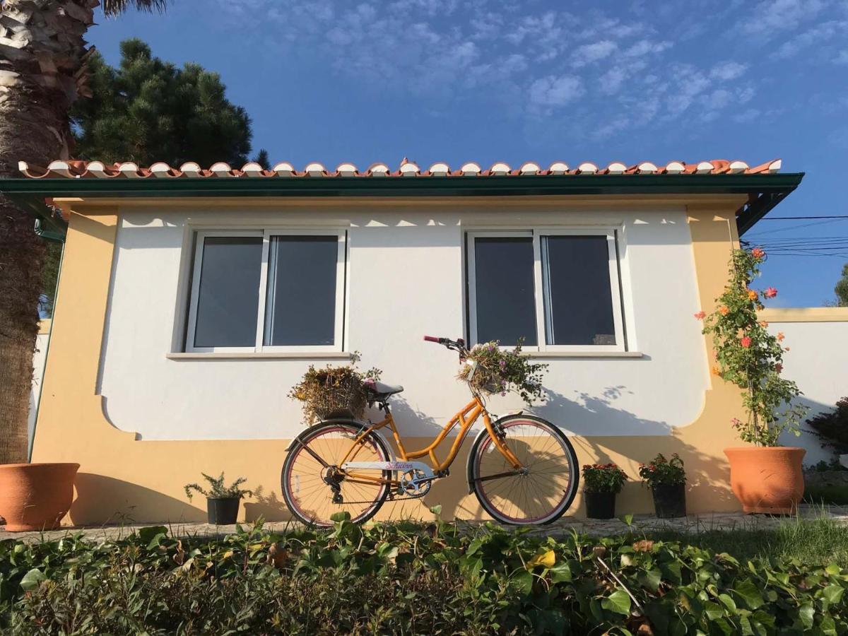 Vida-Vi, Country House And B&B Carvalhal Bemfeito Exterior foto