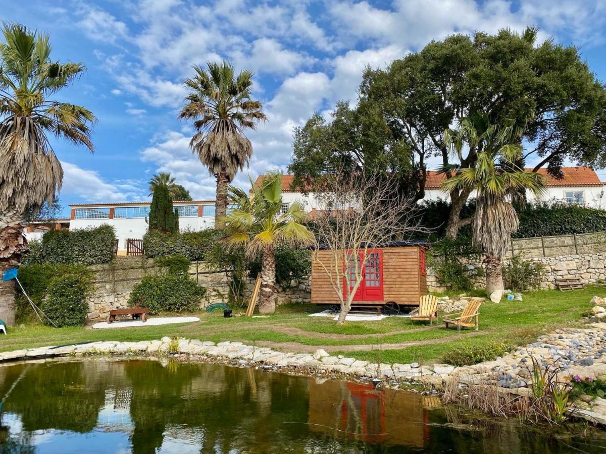 Vida-Vi, Country House And B&B Carvalhal Bemfeito Exterior foto